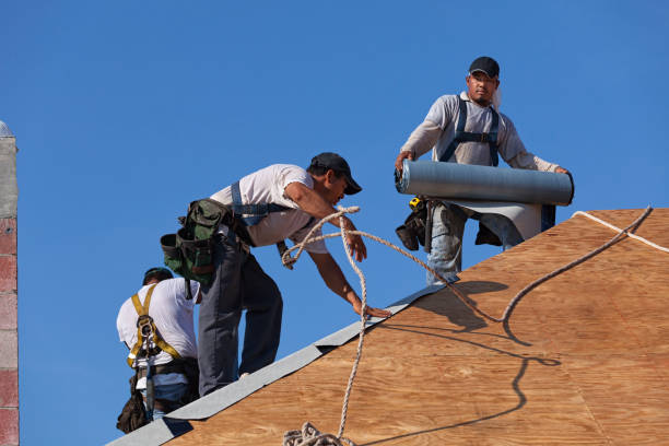 Professional Roofing Contractor in Carroll, IA