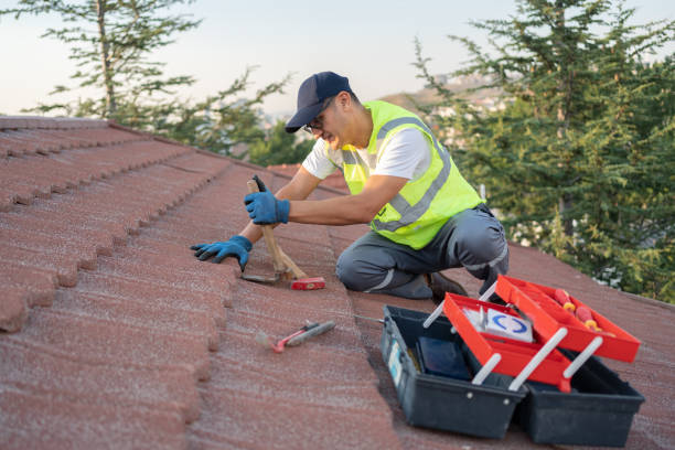 Best Storm Damage Roof Repair  in Carroll, IA