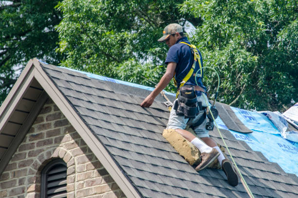 Quick and Trustworthy Emergency Roof Repair Services in Carroll, IA